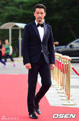 胡歌亮相红毯[1\/43]组图:胡歌亮相韩国颁奖礼 大