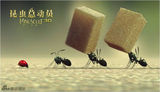 组图：《昆虫总动员》将映 业内人士纷纷点赞