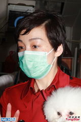 组图：江美仪激光去斑带口罩 望带爱狗去旅游