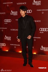 幻灯：亚洲电影大奖红毯 吴尊电眼迷人