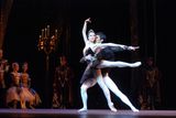 幻灯图：中央芭蕾舞团《天鹅湖》精美剧照
