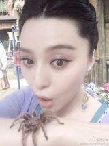 组图：范冰冰与蜘蛛零距离接触 表情搞怪多变