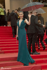 组图：李冰冰戛纳走红毯 深V长裙简约性感