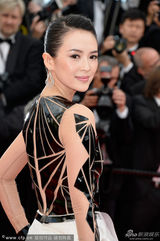 组图：戛纳开幕红毯 章子怡拖尾白纱裙惊艳亮相