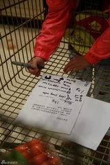 组图：爸爸2萌娃客显主人风 超市作战小鬼当家