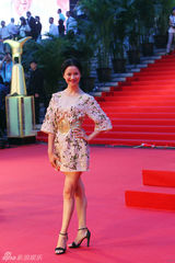 组图：上海电影节拉开帷幕 倪虹洁笑容甜美亮相