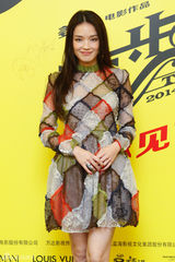 组图：《一步之遥》主创亮相 (姜文/葛优/周韵/舒淇/文章)