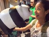 组图：千只纸熊猫空降香港 众星卖萌合影倡环保