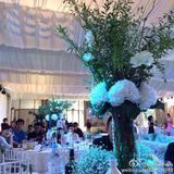 独家：孙菲菲结婚现场 与新郎幸福喂食