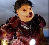 组图：梁静茹撞脸神烦狗Doge 超级英雄躺枪遭PS