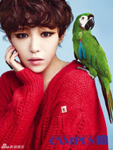 策划：韩团女神扎堆恋爱 宅男排队上天台