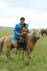 组图：爸爸2张亮黄磊拼厨艺 萌娃草原比摔跤