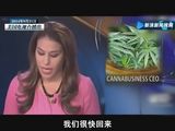 组图：女主播电视直播中谈及大麻后爆粗口辞职