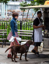 组图：海瑟薇牵爱犬漫步街头 老公抱小萌狗惹眼