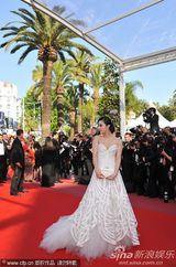 幻灯图集：《美错》戛纳首映 蒂姆-伯顿范冰冰捧场