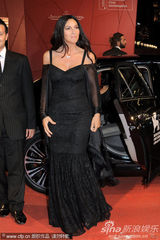 组图：《炎夏》发布会 贝鲁奇裹身黑裙秀玲珑曲线