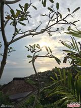 组图：杨幂巴厘岛婚礼场地直击 保安严密显奢华