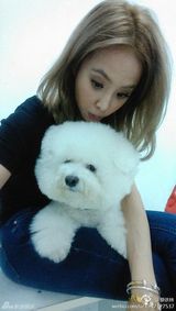 组图：蔡依林微博三宝 钢管屋虎做蛋糕