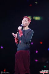 组图：张智霖开唱裸身美女环伺 袁咏仪领衔助威