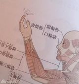 组图：日本学生教科书创意涂鸦 脑洞大开