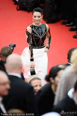 组图：戛纳红毯众星云集 巩俐章子怡领衔女神战