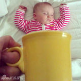 组图：杯子宝宝创意照走红 妈妈齐呼卡哇伊