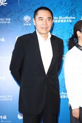 组图：电视华鼎奖红毯 郑爽仙气佟丽娅美艳