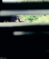 组图：《左耳》重述青春 苏有朋换身份再青春