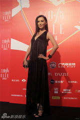 组图：群星亮相华谊之夜红毯熠熠生辉