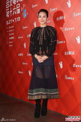 组图：林嘉欣台湾出任电影节评审 宣布复出影坛