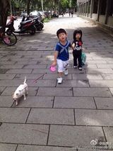 组图：(曹格儿女)曹氏兄妹有爱日常 暖Joe萌Grace初长成