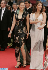 组图：霓裳轻舞东方美 戛纳红毯上的中国女星