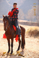 组图：杨烁佟丽娅《刀客》露水情缘爱恨交错