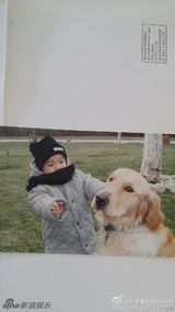 组图：威廉弟弟婴儿照曝光 从小稳重爱动物