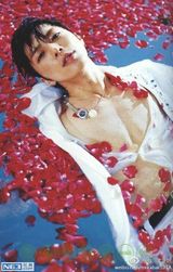 策划：盘点蜷川实花镜头前的那些中日韩明星们