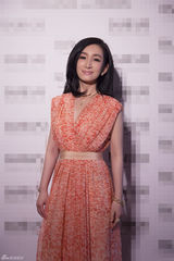 组图：秦海璐出席活动 长裙现身优雅妩媚