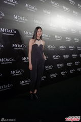 组图：张曼玉高圆圆同台出席活动