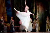 组图：俄皇家“天鹅”京城起舞 精彩演绎芭蕾代表作