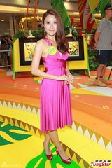 组图：傅颖出席世界杯活动 笑看整容指控