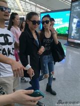 组图：张柏芝抵京粉丝热情 潮装搭马尾清纯靓丽