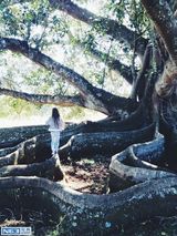 组图：大眼萝莉姐妹走红 写真妈妈掌镜精致如画