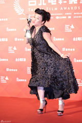 组图：台北电影奖揭晓　李康生陈湘琪夺帝后
