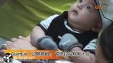 组图：张柏芝次子Quintus近照曝光 肉嘟嘟显可爱