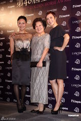 组图：蒋雯丽等亮相金马酒会 陈妍希叶德娴角逐影后