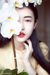 组图：张辛苑巴黎浪漫写真 法式优雅爱的海洋