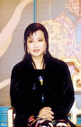 组图：舞台上变脸整容的女主角 梅婷陈数刘晓庆