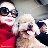 组图：孙俪母亲晒与女儿昔日合影 美艳近照曝光