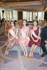 组图：港姐三甲四处领奖 均有意幕前发展