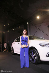 组图：群星亮相华谊之夜红毯熠熠生辉