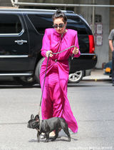 组图：Gaga扮贵妇激凸秀奶 爱犬戴霸气钻石项链